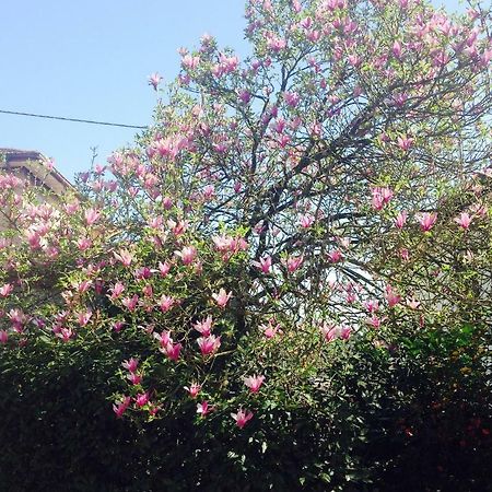 Апартаменты La Magnolia Рикко-дель-Гольфо-ди-Специя Экстерьер фото