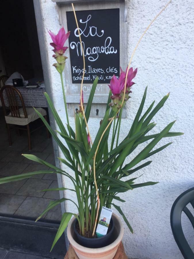Апартаменты La Magnolia Рикко-дель-Гольфо-ди-Специя Экстерьер фото