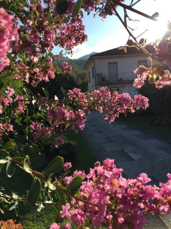 Апартаменты La Magnolia Рикко-дель-Гольфо-ди-Специя Экстерьер фото
